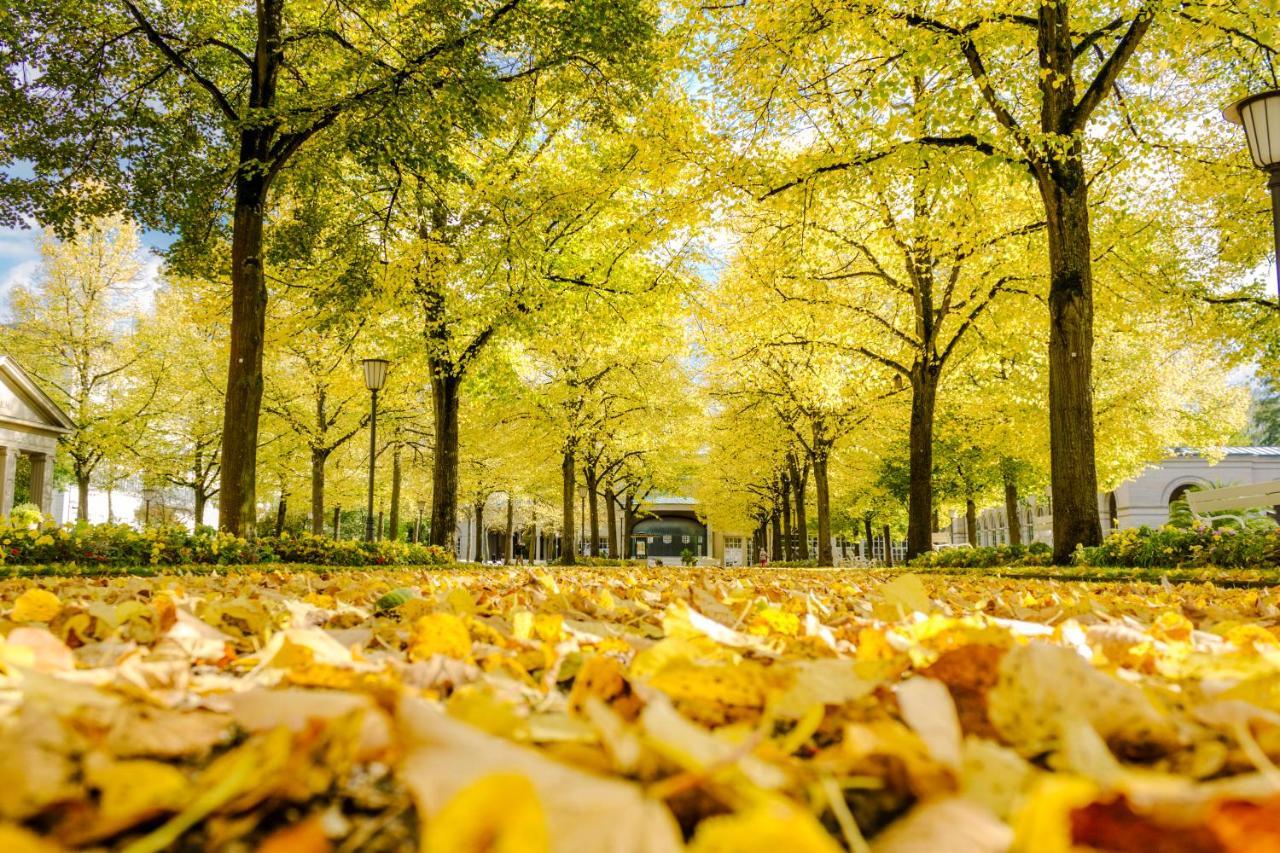 Laudensacks Parkhotel & Retreat Bad Kissingen Bagian luar foto